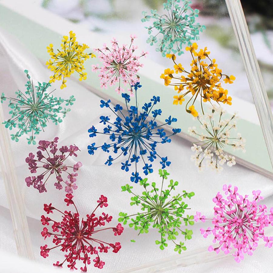 60 pçs pressionado secado 15-2 - Dried Flower Bookmark avaliação e preço